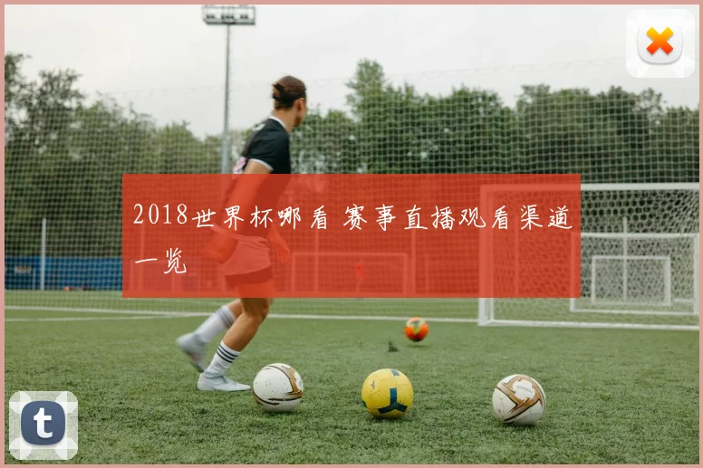 2018世界杯哪看 赛事直播观看渠道一览