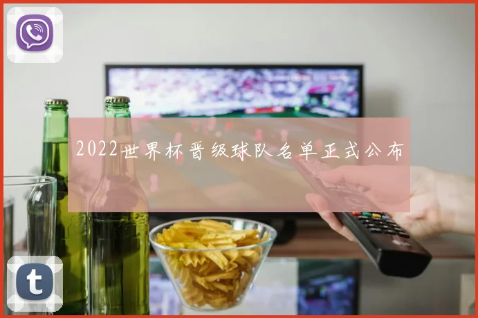 2022世界杯晋级球队名单正式公布